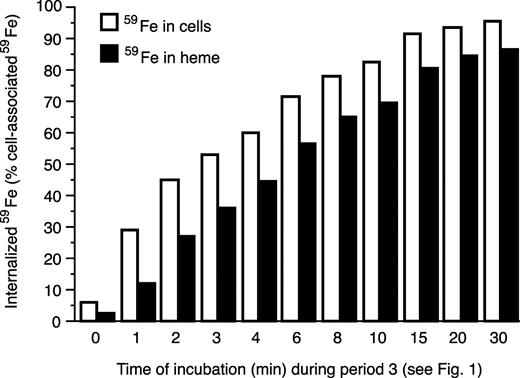 Figure 2. Internalization of 59Fe from membrane-associated 59Fe-Tf and its incorporation into heme. After saturating the membrane TfR with 59Fe-Tf (see Figure 1, the end of period 2), internalization was initiated by incubating cells at 37°C in the presence of 5-fold excess of 56Fe-Tf. At the indicated times, samples were collected and washed, and membrane-bound 59Fe-Tf was removed by incubating the cells with 56Fe-Tf (Figure 1, period 4). Radioactivity in cells and that in heme was then evaluated. The values are displayed as the percentage of the original cell associated 59Fe as it was before displacement by 56Fe-Tf (Figure 1, beginning of period 4).