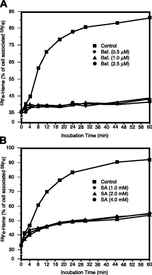 Figure 3. Effects of Baf and SA on the use of endosomal 59Fe for heme synthesis. Endosomal vesicles were loaded with 59Fe as described in Figure 1, and the cells were incubated at 37°C for the indicated time intervals. Baf (A) or SA (B) was included during the last 30 minutes of period 4 (Figure 1) and the entire period 5 (Figure 1) where indicated. The values are displayed as the percentage of the total cellular 59Fe as it was after the membrane-associated radioiron was displaced by 56Fe-Tf (Figure 1, end of period 4).
