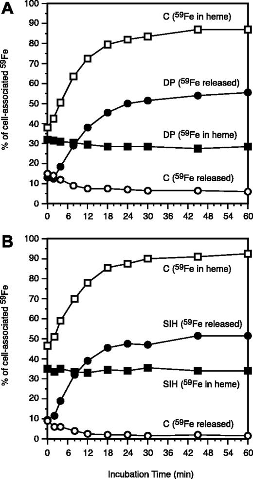 Figure 4. Effects of dipyridyl (DP) and salicylaldehyde isonicotinoyl hydrazone (SIH) on the use of endosomal 59Fe for heme synthesis and release of 59Fe from reticulocytes. One mM (A) or 0.1 mM SIH (B) was included during periods 4 and 5 (Figure 1). At the indicated intervals (during period 5), 2 samples were collected: one was used for measurements of 59Fe radioactivity in heme (▪, DP or SIH; □, control), while the other was transferred to 4 mL ice-cold PBS and centrifuged and the 59Fe radioactivity in the supernatant measured (•, DP or SIH; ○, control). The values are displayed as the percentage of the total cellular 59Fe as it was after the membrane-associated radioiron was displaced by 56Fe-Tf (Figure 1, end of period 4).