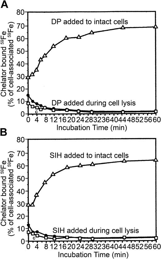 Figure 5. Effects of decreasing metabolic activity (4°C) on mobilization of vesicular 59Fe. Chelators (1 mM DP or 0.1 mM SIH) were included either during periods 4 and 5 (▵) or dissolved in the H2O used to lyse 59Fe-reticulocytes (•). Following incubations of 59Fe-reticulocytes with the chelators, radioactivity was measured in the media, and that value was added to that of the EtOH soluble fraction. This sum represents the total chelator-bound 59Fe. The data are expressed as the percentage of the total cellular radioactivity as it was after the membrane-associated radioiron was displaced by 56Fe-Tf (Figure 1, end of period 4). As a control, the EtOH soluble 59Fe was extracted from untreated, 59Fe-labeled cells (□).