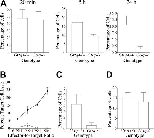 Figure 5. Platelet activation supports tumor cell survival in the lungs via a mechanism coupled to NK cell function. (A) Quantitative analysis of residual radiolabeled LLCGFP cells within the lungs following intravenous injection. The values plotted are the percentage of the total tumor cells originally injected that were found within the lungs at the given time point (the data plotted are the mean values and standard deviations using cohorts of 5-6 mice). Note that the absence of Gαq had no effect on the initial localization of tumor cells in the lungs but resulted in a significant diminution in tumor cell survival when analyzed after either 5 (P < .03) or 24 hours (P < .01). (B) Loss of NK cell–mediated target cell lysis in vitro (standard chromium-release assays) by mononuclear splenocytes prepared from mice depleted of NK cells using an anti–asialo GM1 antibody. Shown are representative results using splenocytes from carrier treated (•) and anti–asialo GM1 antibody-treated mice (○). Note that anti–asialo GM1 effectively eliminated NK cell lysis of YAC-1 target cells even at the highest effector-to-target cell ratio tested. (C-D) Quantitative analysis of residual radiolabeled LLCGFP cells within the lung tissue 24 hours after intravenous injection into mice that were pretreated with anti–asialo GM1 to deplete NK cells (D) or pretreated in parallel with antibody carrier (C). Note that in control (carrier-treated) mice (C), Gαq was affirmed to be an important determinant of tumor cell fate; Gαq–/– mice (n = 6) had significantly fewer pulmonary tumor cells than control animals (n = 6) 24 hours after tumor cell inoculation (P < .01). However, in mice depleted of NK cells (D), no significant diminution in lung-associated tumor cells was observed in Gαq–/– mice (n = 5) relative to control animals (n = 8). All P values were generated using a Mann-Whitney U test. Error bars represent standard deviation.