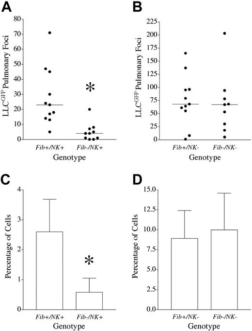 Figure 6. Fibrin(ogen) supports tumor cell survival in the lungs by a mechanism coupled to NK cell function. (A-B) Quantitative analysis of metastatic foci within the lungs of mice with single and combined genetic deficits in fibrinogen and NK cells 14 days after intravenous injection of LLCGFP cells. Note that with natural killer cell function intact (A), Fib–/– mice developed significantly fewer metastatic foci than control animals challenged in parallel with 4 × 105 LLCGFP (*P < .01). In contrast, in transgenic mice with a life-long genetic deficit in NK cells (B), fibrinogen deficiency did not significantly alter metastatic potential (8 × 104 cells injected/mouse; P > .5). (C-D) Quantitative analysis of residual radiolabeled LLCGFP cells within the lung tissue 24 hours after intravenous injection of 8 × 104 cells into mice with and without NK cells. Note that in mice with intact natural killer function (NK+), fibrinogen deficiency (n = 15) resulted in a significant diminution in lung-associated tumor cells relative to control animals (n = 18; C). (*P < .008). However, in transgenic mice with a life-long genetic deficit in NK cells (D), no significant diminution in lung-associated tumor cells was observed in Fib–/– mice (n = 12) relative to control animals (n = 19). All P values were generated using a Mann-Whitney U test.