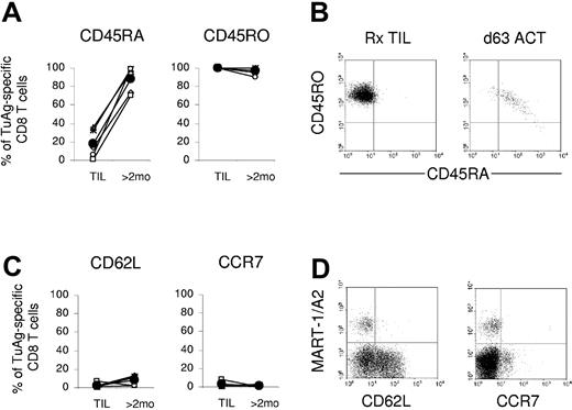 Figure 3. Adoptively transferred tumor antigen-specific CD8+ T cells persist in the peripheral blood of patients as effector memory T cells. (A) Compared with TIL, the frequency of tetramer or Vβ-positive staining CD8+ T cells expressing CD45RA increased in the peripheral blood of all patients more than nearly 2 months after cell infusion, while positive CD45RO expression was maintained. Expression was evaluated on tumor antigen-specific CD8+ T cells from patients 9 (▵), 10 (×), 20 (⋄), 21 (○), 23 (x), and 28 (□), and the average of all values is shown (•). (B) CD45RA expression is temporally reacquired with concomitant CD45RO reduction on tumor antigen-reactive T cells in vivo. Representative dot plots show the expression of CD45 isoforms on gated MART-1+ CD8+ T cells from patient 28 TIL or peripheral blood 63 days after cell administration. (C) TIL and posttransfer PBL-derived tumor antigen-specific CD8+ T cells lack expression of the lymphoid homing markers, CD62L and CCR7. Expression of CD62L and CCR7 was not detected. (D) CD62L and CCR7 expression is absent on gated MART-1+ CD8+ T cells from patient 28 TIL or day-63 posttransfer PBLs and limited to endogenously reconstituted CD8+ T cells. TuAg indicates tumor antigen.