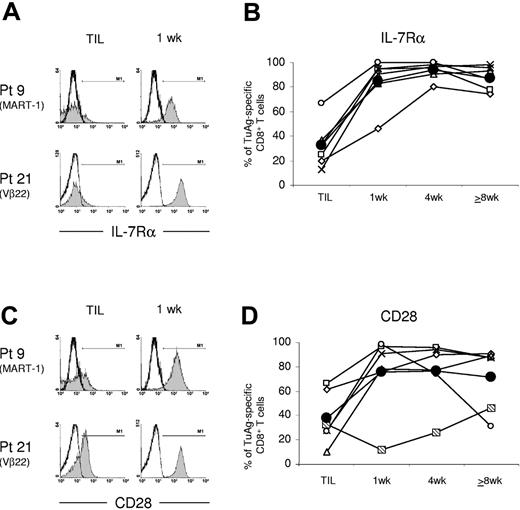 Figure 4. IL-7Rα and CD28 are highly expressed by melanoma antigen-specific CD8+ T cells in the early aftermath of ACT into lymphoablated metastatic melanoma patients. (A) The frequency of tumor-reactive CD8+ T cells with elevated IL-7Rα expression levels is increased nearly 1 week after cell infusion. Representative histograms show IL-7Rα expression by TIL or day-7 posttransfer PBL-derived MART-1+ or Vβ-22+ CD8+ T cells from patients 9 and 21, respectively. (B) Tumor antigen-specific T-cell clones rapidly and continuously express IL-7Rα after adoptive transfer. IL-7Rα expression was detected on tumor antigen-specific CD8+ T cells from patients 9 (x), 10 (▧), 20 (⋄), 21 (□), 23 (○), and 28 (▵), and the average of all values is shown (•). Expression by persistent tumor antigen-specific CD8+ T cells was assessed about 1, 4, and 8 or more weeks after ACT. (C-D) CD28 expression was immediately enhanced on melanoma-reactive CD8+ T cells from most patients after cell transfer. Although low, CD28 expression was shown to temporally increase on Vβ-7+ CD8+ T cells from patient 10 in vivo in 4 independent flow cytometric analyses.