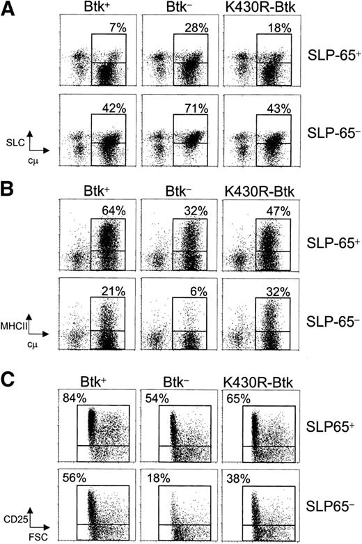 Figure 4. K430R-Btk corrects pre-B-cell maturation in Btk/SLP-65 double-mutant mice. Flow cytometric analysis of gated surface IgM-negative B220+ pro-/pre-B cells of Btk+, Btk-, and K430R-Btk mice on either an SLP-65+ or the SLP-65- background. B220+IgM- cells were gated and analyzed for the expression of (A) cytoplasmic Igμ H chain (cμ)/SLC, (B) cμ/MHC, class II, and (C) forward scatter (FSC)/CD25. Data are displayed as dot plots and the percentage of cells within the indicated gates are given. Data shown are representative of 5 to 14 mice analyzed within each group.