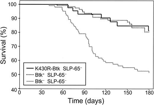 Figure 5. Tumor suppressor function of Btk is not dependent on its kinase activity. Kaplan-Meier tumor-free survival estimates for SLP-65- (n = 123), Btk-SLP-65- (n = 107), and K430R-Btk mice on the Btk-SLP-65- background (n = 51). Tumor-free survival in Btk/SLP-65 double-deficient mice was significantly reduced compared with SLP-65- mice (P < .00001, by log-rank) and to K430R-Btk/SLP-65- mice (P < .0008). Tumor-free survival in the SLP-65- and K430R-Btk/SLP-65- groups of mice was not significantly different.
