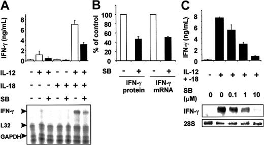 Figure 1. Synergistic and p38-dependent induction of IFN-γ mRNA and protein by IL-12 and IL-18. (A) Freshly isolated human PBLs (4 × 106/mL) were treated with 1 μM SB203580 (SB; ▪) or vehicle (0.1% DMSO; □), IL-12 (20 ng/mL) and IL-18 (20 ng/mL) as indicated for 7 hours. Supernatants were collected and IFN-γ protein content was measured by ELISA (top). Error bars indicate SD of triplicate measurements. Total RNA was purified and subjected to ribonuclease protection assay to quantitate IFN-γ mRNA, plus L32 and GAPDH mRNAs as loading controls (bottom). (B) Freshly isolated human PBLs were treated with 1 μM SB203580 (SB; ▪) or vehicle (0.1% DMSO; □) and then stimulated with IL-12 and IL-18 (20 ng/mL each) for 7 hours. IFN-γ protein and mRNA were quantified as described for panel A, and calculated as percentage of expression in the absence of SB203580. Mean values from 7 different donors are plotted. Error bars indicate SEM. (C) Freshly isolated human PBLs (7 × 106/mL) were treated with the indicated doses of SB203580 or vehicle (0.1% DMSO) and stimulated with IL-12 and IL-18 (20 ng/mL each) for 7 hours. IFN-γ protein content of supernatants was measured by ELISA (top). Error bars indicate SD of triplicate measurements. Total RNA was purified; IFN-γ mRNA was quantified by Northern blotting and 28S rRNA was quantified as a loading control (bottom). This experiment was performed twice with very similar results.