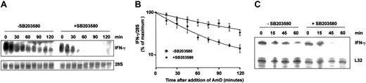 Figure 4. MAPK p38 regulates the stability of IFN-γ mRNA. (A) Freshly isolated human PBLs were stimulated with IL-12 and IL-18 (20 ng/mL each) for 4 hours, and then actinomycin D was added in the presence of 1 μM SB203580 or vehicle (0.1% DMSO). Total RNA was purified at the intervals shown and Northern blotted for IFN-γ mRNA. 28S rRNA was quantified as a loading control. (B) The experiment described in panel A was performed 4 times and IFN-γ mRNA was normalized against 28S rRNA and plotted against time on a semilogarithmic graph. Error bars indicate SEM. (C) NK cells were purified by negative selection and stimulated with IL-12 and IL-18 for 4 hours, then actinomycin D was added in the presence of 1 μM SB203580 or vehicle (0.1% DMSO). Total RNA was purified at the intervals shown and IFN-γ mRNA was quantified by ribonuclease protection assay. This experiment was performed twice with identical results.