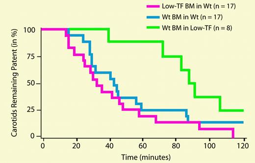 Carotid artery and venous thrombosis in mice receiving BM transplants. See the complete figure in the article beginning on page 192.
