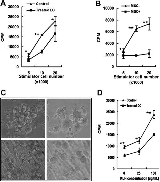 Figure 4. Immunostimulation of allogeneic T-cell proliferation by mature DCs (mDCs) was impaired by MSC treatment. (A) After MSC treatment, mDCs alone were used in graded doses to stimulate allogeneic CD4+ T cells (*P < .05, **P < .01). ▪ indicates treated DCs; ▴, control cells. (B) Graded doses of treated mDCs were used to stimulate allogeneic CD4+ T cells (1 × 105 cells per well) without MSCs retrieved in the MLR culture (*P < .05, **P < .01). ▴ indicates without MSCs; ▪, with MSCs. (C) Notably, untreated mDCs show clustered and protruding characteristics (top row) in the MLR, while treated mDCs are scattered and round (bottom row) (for both rows, original magnification × 100). Images in panel C were visualized using a Nikon TE2000-U microscope equipped with a Plan Fluor 10×/0.30 objective lens (Nikon). Images were captured and processed as for Figure 1A. (D) After MSC treatment, mDCs loaded with KLH were used in graded doses to stimulate allogeneic CD4+ T cells (*P < .05, **P < .01). Symbols are as in panel A. Thymidine incorporation was measured on day 4 by a 16-hour pulse with 1 μCi 3H-thymidine. (A-B,D) Results are shown as mean ± SD of triplicate values. Cell morphology was determined by phase contrast microscopy. One representative experiment from 3 independent experiments is shown.