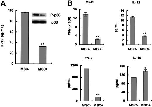 Figure 5. MSC coculture reduced IL-12 secretion by DCs. (A) DCs obtained from monocytes after 7 days of induction with GM-CSF plus IL-4 were stimulated by LPS for an additional 48 hours with or without MSC coculture, and then cell-free supernatants were collected and quantified by ELISA for IL-12 production. In the meantime, the cell lysates were blotted with anti-p38 antibody (bottom row) and antiphosphor-p38 antibody (top row). (B) Mature DCs with (MSC+) or without (MSC-) MSC coculture were used to stimulate allogeneic CD4+ T cells. In the MLR, IL-12, IFN-γ, and IL-10 secretion were quantified by Quantikine ELISA. Thymidine incorporation is expressed as mean ± SD of triplicates. Results are representative of 3 independent experiments (*P < .05; **P < .01).