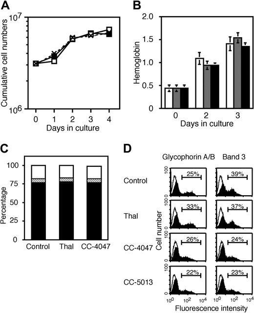 Figure 5. Thalidomide and CC-4047 do not affect terminal differentiation of erythroid progenitor cells. SCF/Epo erythroid progenitor cells were generated from SI2 cells after 3 to 4 days of culture with SCF plus Epo plus Dex as indicated in Figure 2A. Then, 3 × 106 SCF/Epo cells were induced to terminal differentiation with Epo plus insulin in the presence of thalidomide (100 μM), CC-4047 (100 μM), CC-5013 (10 μM), or 0.1% DMSO (control). (A) The growth kinetics are shown as cumulative cell numbers. Data represent means ± standard deviation from 3 different experiments. □ indicates thalidomide; ▪, CC-4047; and × with dotted line, control. (B) Cell hemoglobin levels were determined by hemoglobin assay and measured as optical density (OD 490). After 0, 2, and 3 days in the presence of thalidomide (, 100 μM), CC-4047 (▪, 100 μM), or 0.1% DMSO (□, control). Data represent means ± standard deviation. (C) At day 2 in culture, cells were subjected to apoptosis assay by double staining with annexin V. Result is shown as the ratio of living cells (▪), apoptotic cells (▨), and necrotic cells (□) in the total cell numbers. (D) Cells at day 3 in culture. Cells were analyzed for surface antigen expression by flow cytometry (filled area). The open area indicates staining with isotype control antibody. Horizontal bars indicate the percent of positive cells for each staining.