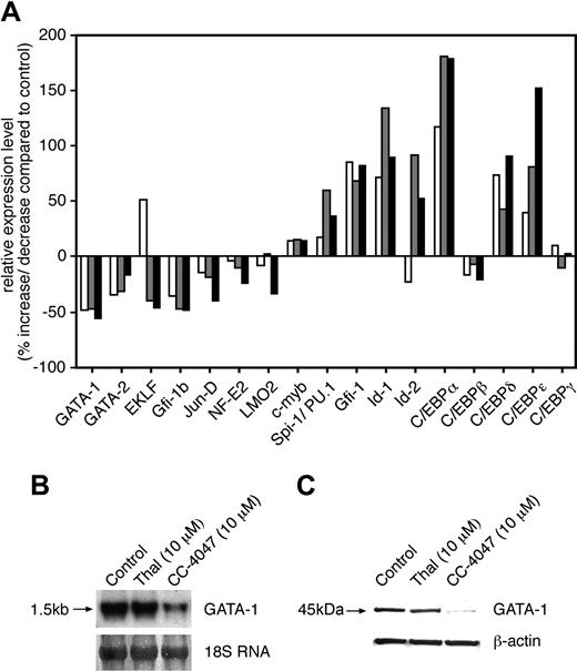 Figure 7. Gene expression profiles of transcription factors induced by CC-4047 in CD34+ cells. (A) CD34+ cells were cultured with SCF plus IL-3 plus IL-6 as indicated in Figure 2A in the presence of CC-4047 (100 μM) or 0.1% DMSO (control), followed by extraction of total RNA at day 1 (□), day 2 (), and day 3 (▪). Six micrograms of total RNA was subjected to DNA microarray analysis (see “Materials and methods”). The relative expression levels of transcription factors induced by CC-4047 are shown as percentage of increase or decrease (-) compared with control. (B) CD34+ cells were cultured with SCF plus IL-3 plus hyper–IL-6 (Figure 2A) in the presence of thalidomide (10 μM), CC-4047 (10 μM), or 0.1% DMSO (control), followed by extraction of total RNA (day 3) or protein lysates (day 7). RNA was analyzed for GATA-1 expression by Northern blotting. Methylene blue staining of 18S ribosomal RNA is shown as loading control. (C) The cell lysates were subjected to Western blotting to determine GATA-1 protein expression. β-actin expression served as loading control.