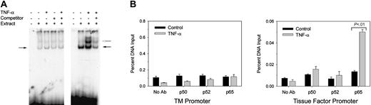Figure 4. Binding of NF-κB to the TM promoter. HUVECs were stimulated with or without 80 ng/mL human TNF-α for 1 hour. (A) EMSA was performed on nuclear extracts with probes containing either the sequence of a potential noncanonical NF-κB binding site within the TM promoter (left) or the classic NF-κB consensus sequence (right). Competition with 100-fold excess of unlabeled oligonucleotides failed to eliminate nonspecific DNA-protein complexes (solid arrows) but did reduce intensity of p50/p65-DNA complexes (open arrow) induced by TNF-α. (B) Chromatin immunoprecipitation was performed by using primers/probe specific for either the TM (left) or tissue factor (right) promoters and antibodies specific for various NF-κB subunits. ▪ indicates control; ▦, stimulation with TNF-α. Values are the mean ± SEM for 4 experiments. P values were not significant for paired vehicle and TNF-α groups except where indicated.