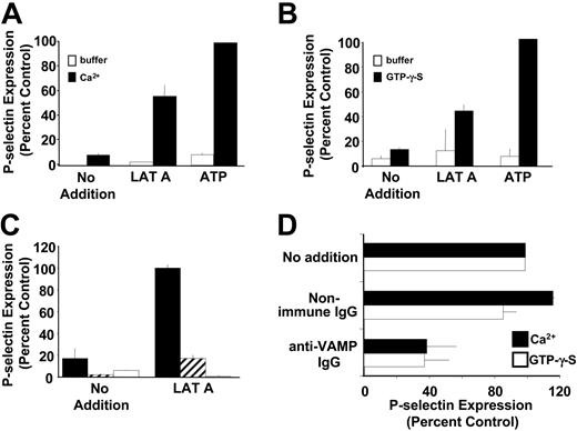 Figure 7. Disruption of the cytoskeleton primes platelets for SNARE protein-mediated α-granule secretion. (A) Platelets were incubated in the presence of vehicle (no addition), 2 μM latrunculin A (LAT A), or 5 mM MgATP (ATP) and permeabilized with SL-O. Following a 15-minute incubation, platelets were exposed to buffer (□) or 10 μM Ca2+ (▪) and assayed for P-selectin expression by flow cytometry. P-selectin expression after exposure to MgATP alone followed by Ca2+ represents 100%. (B) Platelets were incubated in the presence of vehicle (no addition), 2 μM latrunculin A (LAT A), or 5 mM MgATP (ATP) and permeabilized with SL-O. Following a 15-minute incubation, platelets were exposed to buffer (□) or 33 μM GTP-γ-S (▪) and assayed for P-selectin expression by flow cytometry. P-selectin expression after exposure to MgATP alone followed by Ca2+ represents 100%. (C) Platelets were incubated with either vehicle (▪), 8 μM jasplakinolide (▨), or 100 μM phalloidin oleate (□) for 20 minutes. Platelets were then permeabilized in the presence of vehicle (no addition) or 2 μM latrunculin A (LAT A). Following a 15-minute incubation, platelets were exposed to 10 μM Ca2+ and assayed for P-selectin expression. P-selectin expression after exposure to latrunculin A alone followed by Ca2+ represents 100%. (D) Platelets were incubated with either buffer (lane 1), 50μg/mL nonimmune IgG (lane 2), or 50 μg/mL anti-VAMP antibody (lane 3). Samples were permeabilized in the presence of latrunculin A for 15 minutes, exposed to 10 μM Ca2+ (▪) or 33 μM GTP-γ-S (□), and then assayed for P-selectin expression. P-selectin expression after exposure to latrunculin A alone followed by agonist represents 100%.