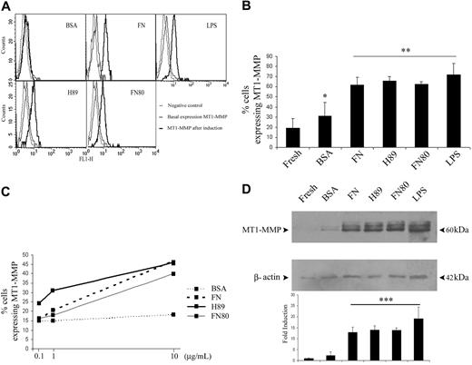Figure 5. MT1-MMP expression is up-regulated in human monocytes attached to FN in a manner dependent on α4β1 and α5β1 integrins. (A) MT1-MMP cell-surface expression was analyzed by flow cytometry in freshly isolated monocytes (thin solid line) and in monocytes attached to plates coated with 0.5% BSA, 20 μg/mL FN, or 10 μg/mL FN fragments H89 and FN80 for 16 hours (thick solid line). LPS stimulation (10 ng/mL) for 16 hours was included as a positive control. X63 was used as a negative control of staining (dotted line). One independent experiment of 6 is represented. (B) The arithmetic means and SD are shown of the percentage of MT1-MMP–positive monocytes (subtracting X63 negative control values) under different conditions. n = 6. *P < .05 (versus fresh) and **P < .04 (versus BSA). (C) MT1-MMP cell-surface expression was analyzed as described in panel A in monocytes adhered for 16 hours to different doses of BSA, FN, or FN fragments H89 and FN80 as indicated. The arithmetic means of the percentage of MT1-MMP–positive monocytes (subtracting X63 negative control values) are represented for each condition. n = 3. (D, top) MT1-MMP protein content was estimated by Western blot analysis of total cellular extracts from fresh monocytes or monocytes attached to plates coated as described for panel A. Anti–MT1-MMP LEM-2/15 mAb recognizes immature and mature forms of MT1-MMP of 63 and 60 kDa, respectively. (D, bottom) The arithmetic means and SD of the fold induction of the ratio of MT1-MMP to β-actin levels estimated by densitometry are represented (an arbitrary value of 1 was assigned to the MT1-MMP/β-actin ratio in freshly isolated monocytes). n = 4. ***P < .01.