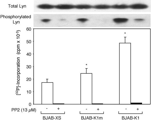 Figure 3. K1-induced Lyn hyperphosphorylation and in vitro Lyn kinase activity in BJAB-K1 cells. Hyperphosphorylation and in vitro kinase activity of Lyn tyrosine kinase in BJAB-K1, BJAB-K1m, and BJAB-XS human B-lymphoma cells in the presence and absence of the Src protein tyrosine kinase inhibitor PP2 were determined as described in “Materials and methods.” Compared with BJAB-XS cells, the differences in Lyn kinase activity were significant in BJAB-K1m cells (*P = .007) and BJAB-K1 (*P = .01) cells.