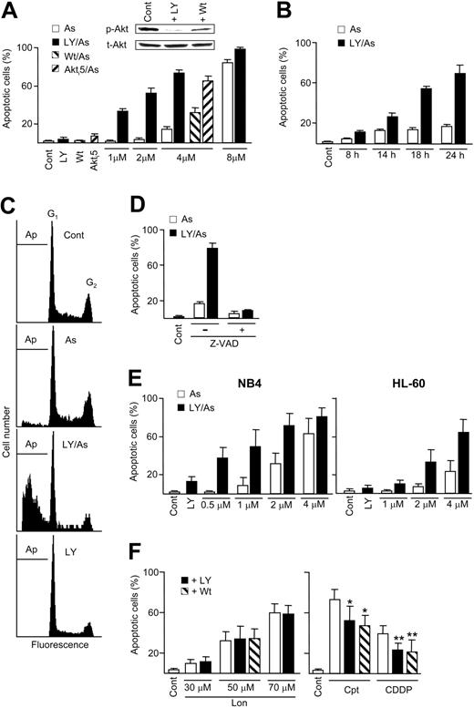 Figure 1. Generation of apoptosis by antitumor drugs and PI3K/Akt inhibitors in human myeloid leukemia cell lines. (A) Frequency of apoptotic cells, as determined by chromatin fragmentation, in untreated U-937 cell cultures (Cont); in cultures treated for 24 hours with LY294002 (LY), wortmannin (Wt), or Akti5 alone; and in cultures treated for 24 hours with the indicated concentrations of As2O3, either alone (As) or in combination with LY294002 (LY/As), wortmannin (Wt/As), or Akti5 (Akti5/As). The inset represents the relative level of total and phosphorylated Akt (t-Akt and p-Akt, respectively) in total cellular extracts obtained from untreated cells (Cont) and cells treated for 24 hours with LY294002 and wortmannin, as determined by immunoblot. (B) Frequency of apoptosis in U-937 cell cultures treated for the indicated time periods with 4 μMAs2O3, alone or in combination with LY294002. (C) Cell distribution according to their DNA content in untreated U-937 cell cultures (Cont) and in cultures treated for 24 hours with 4 μM As2O3 and LY294002, alone and in combination. The fraction of cells with sub-g1 DNA content (Ap) is considered as apoptotic. (D) Frequency of apoptosis in U-937 cell cultures treated for 24 hours with 4 μMAs2O3, alone or with LY294002, either in the absence (-) or the presence (+)of 50 μM Z-VAD-FMK (Z-VAD). (E) Frequency of apoptosis in human NB4 and HL-60 cell cultures, treated for 24 hours with LY294002 and the indicated concentrations of As2O3, alone or in combination. (F) Frequency of apoptosis in U-937 cell cultures treated for 24 hours with the indicated concentrations of lonidamine (Lon), 20 nM camptothecin (Cpt), and 4 μM cisplatin (CDDP), alone (-) and in combination with LY294002 or wortmannin. The asterisks indicate significant differences (*P < .02, **P < .0005, Student t test), in relation to cells treated with the correspondent antitumor drug alone. LY294002, wortmannin, and Akti5 were used at 30, 0.5, and 30 μM, respectively. All agents (antitumor drugs, kinase inhibitors, and Z-VAD-FMK) were applied simultaneously. The data in panels A-B and D-F represent the mean ± SD of at least 3 determinations. The data in panel C and the inset in panel A are representative of 2 determinations with similar results.