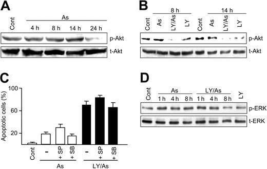 Figure 2. Akt and ERK activation, and effect of MAPK inhibitors. (A-B) Relative level of total and phosphorylated Akt in extracts (40 μg protein per lane) obtained from untreated U-937 cells (Cont) and cells treated for the indicated time periods with 4 μMAs2O3 (A); and from cells treated for the indicated time periods with As2O3 and LY294002, alone and in combination (B). (C) Frequency of apoptotic cells (mean ± standard deviation of 4 determinations) in cultures treated for 24 hours with 4 μM As2O3, alone or with LY294002, either in the absence (-) or the presence of 10 μM SP600125 (SP) or 10 μM SB203580 (SB). (D) Relative level of total (t-ERK) and phosphorylated (p-ERK) ERKs in extracts (10 μg protein per lane) obtained from untreated cells and cells treated for the indicated time periods with As2O3 and LY294002, alone and in combination. All drugs were applied simultaneously. All other conditions were as in Figure 1.
