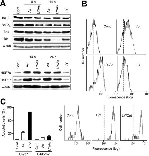 Figure 4. Expression and modification of Bcl-2 and HSP family members, and effect of Bcl-2 overexpression. (A) Relative levels of Bcl-2, Bcl-XL, Bax, Bid (21-kDa proform), HSP70, HSP27, and α-tubulin (used as a control) in total cellular extracts (15 μg per lane) obtained from untreated U-937 cells (Cont), from cells treated for 14 hours with LY294002 alone, and from cells treated for the indicated time periods with 4 μMAs2O3, alone or in combination with LY294002, as determined by immunoblot. (B) Relative level of activated Bax in untreated cells (Cont), in cells treated for 14 hours with LY294002 alone, and in cells treated for 14 hours with As2O3 and camptothecin, alone or in the presence of LY294002, as determined by flow cytometry using the 6A7 antibody. The vertical, dotted lines represent the mean fluorescence value in the control, to better discern the displacement caused by the treatments. (C) Frequency of apoptotic cells (mean ± standard deviation of 3 determinations) in nontransfected (U-937) and Bcl-2-transfected (U4/Bcl-2) U-937 cell cultures at 24 hours of treatment with 4 μMAs2O3, alone or in combination with LY294002. All other conditions were as in Figure 1.