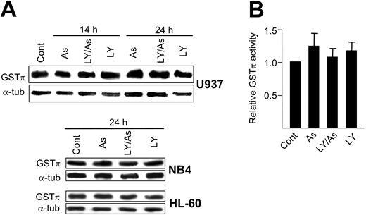 Figure 7. GSTπ expression and activity. (A) Relative GSTπ levels in extracts (10μg protein per lane) obtained from untreated cells (Cont) and cells treated for the indicated time periods with LY294002 and As2O3, alone and in combination. As2O3 was used at 4 μM in the case of U-937 and HL-60, and at 2 μM in the case of NB4 cell cultures. (B) GSTπ activity in untreated U-937 cells and cells subjected for 24 hours to the same treatments as in panel A. The results (mean ± standard deviation of 3 determinations) are expressed in relation to untreated cells (main value, 44.5 ± 6.9 nmol/mg protein/min), which received the arbitrary value of one. All other conditions were as in Figure 1.