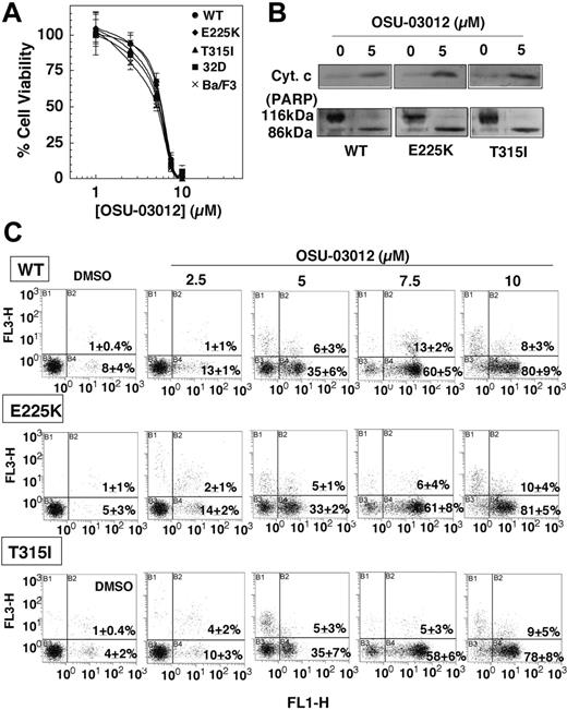 Figure 3. Ba/F3p210Bcr-Abl, Ba/F3p210E255K, and Ba/F3p210T315I cells are equally susceptible to OSU-03012 irrespective of Bcr-Abl mutations. (A) Dose-response curves obtained by MTS assays after 48-hour exposure of the control 32D and untransfected Ba/F3 cells versus Ba/F3p210Bcr-Abl (WT), Ba/F3p210E255K (E225K), and Ba/F3p210T315I (T315I) cells to OSU-03012. Each data point represents means ± SD (n = 6). (B) Effect of 5 μM OSU-03012 on cytochrome c release. The immunoblots are representative of 3 independent experiments. (C) Flow cytometric analysis of apoptotic death in the 3 cell lines treated with DMSO vehicle or OSU-03012 at 2.5, 5, 7.5, or 10 μM for 48 hours. Results are representative of at least 3 independent experiments. The percentages in the graphs represent the percent of cell numbers in each quadrant.