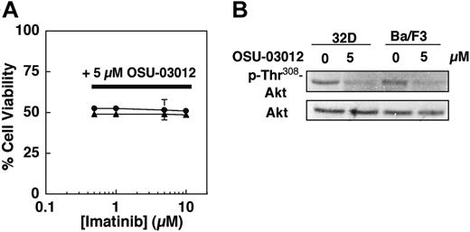 Figure 5. OSU-03012-mediated Akt dephosphorylation does not sensitize 32D and untransfected Ba/F3 cells to imatinib-induced apoptotic death. (A) Dose-response curves obtained by MTS assays after 48-hour exposure to a combination of 5 μM OSU-03012 and varying concentrations of imatinib mesylate. Each data point represents mean ± SD. (B) Effect of 5 μM OSU-03012 on Thr308 phosphorylation of Akt in 32D (•) and Ba/F3 (▴) cells after 36-hour exposure. The immunoblots are representative of 3 independent experiments.