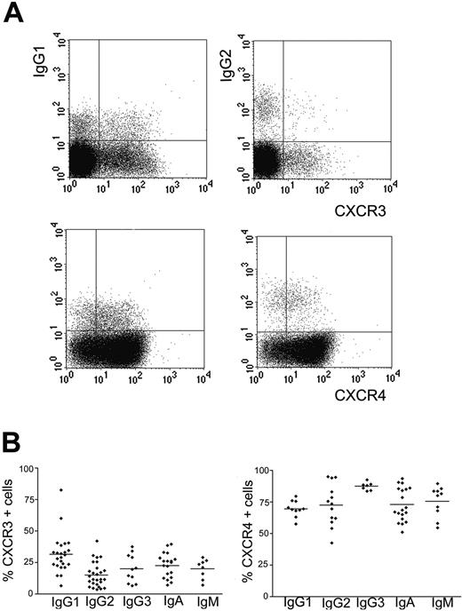 Figure 1. CXCR3 is preferentially expressed on memory B cells coexpressing IgG1. PBMCs were stained for CD19, antibody isotypes, CXCR3, and CXCR4 and analyzed by FACS. To identify IgM memory cells, cells were additionally stained for CD27. Dead cells were excluded by DAPI staining. (A) Representative FACS analysis. Dot plots were gated on living CD19+ B cells. IgM+ cells were additionally gated for CD27+ cells, a marker for memory B cells. (B) Frequencies of CXCR3+ and CXCR4+ memory B cells expressing the antibody isotypes indicated. Cells were analyzed by FACS as described. Each dot resembles cell frequencies of one individual donor. Differences between CXCR3+/IgG1+ and CXCR3+/IgG2+ B cells were significant (P < .05). The horizontal bars show the mean value.