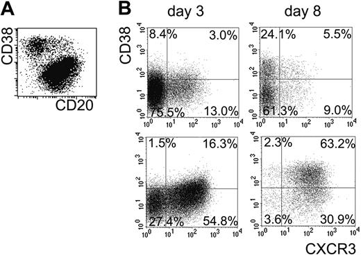 Figure 2. CXCR3+ B cells maintain the expression of this receptor during plasma-cell differentiation. (A) Plasma-cell differentiation was induced on isolated B cells as described. Following 8 days of stimulation, between 10% and 40% of B cells had undergone differentiation into CD38++/CD20- plasma cells. (B) Prior to stimulation, cells underwent FACS into CXCR3- and CXCR3+ B cells. At day 3 and day 8 of culture, CD19+ B cells and plasma cells were analyzed for the expression of CXCR3 and CXCR4. Upper plots show cultures started with CXCR3- B cells; lower plots show cultures started with CXCR3+ B cells. Shown are results from one representative experiment of five. Percentages indicate the percentage of CD38 and CXCR3 expression in each quadrant gated an CD19+ B lymphocytes.