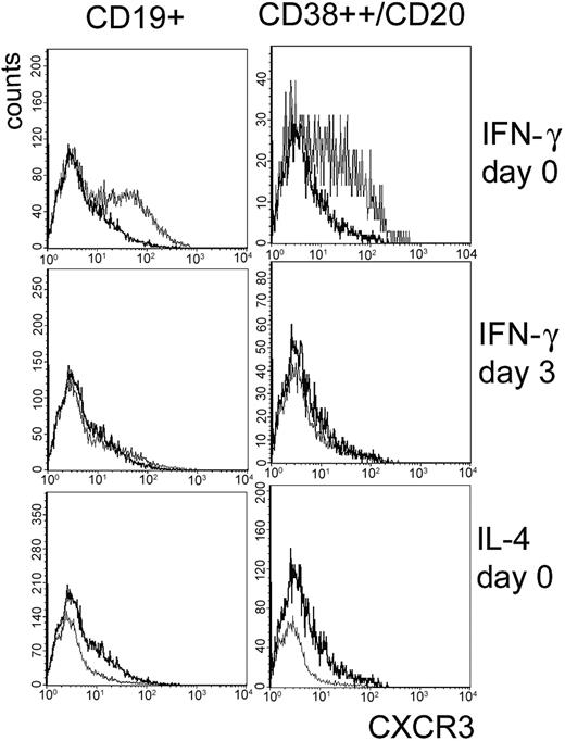 Figure 3. Early costimulation with IFN-γ led to the up-regulation of CXCR3 expression. Sorted CXCR3- peripheral blood B cells were activated with CD40L, IL-2, and IL-10 as described (bold lines). To some cultures, IFN-γ or IL-4 was added at day 0 or day 3 as indicated (thin lines). CD19+ B cells (left column) and CD38++/CD20-/CD19+ plasma cells (right column) were analyzed at day 8 of culture. Data shown are representative for one of more than four experiments (Table 1).
