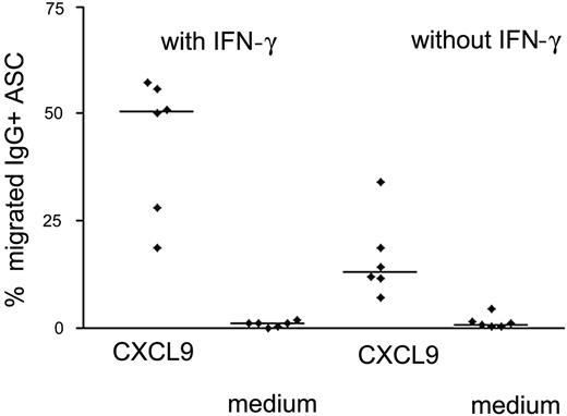 Figure 4. IgG-secreting cells formed in cultures supplemented with IFN-γ showed enhanced migration toward CXCL9. Plasma-cell differentiation was induced on sorted CXCR3+ or CXCR3- peripheral blood B cells in the presence or absence of IFN-γ. After 8 days of culture, migration of IgG+ antibody-secreting cells (ASC) toward 100 nM CXCL9 was analyzed by Transwell chemotaxis assays. IgG-secreting cells were quantified by ELISPOT. Each dot represents the percentage of migrating IgG-secreting cells of one experiment. Differences between frequencies of migrating cells from cultures with and without IFN-γ are statistically significant (P < .05). Horizontal bars indicate the median value.