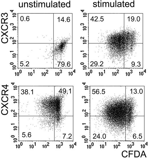 Figure 6. Up-regulation of CXCR3 and CXCR4 expression on activated B cells does not depend on proliferation. Sorted CXCR3- or CXCR4- peripheral-blood B cells where labeled with CFDA-SE and stimulated with CpG, IL-2, and IL-10. IFN-γ was added to CXCR3- B cells to induce the expression of CXCR3. Following 3 days cultures started with CXCR3- B cells were analyzed for CXCR3 expression, cultures started with CXCR4- B cells for CXCR4 expression, and compared to the loss of CFDA-SE by FACS. Borders for chemokine receptor staining were set according to isotype controls. One representative result of 3 is shown. Values represent the percentage of CDFA content and CXCR3 or CXCR4 expression, respectively, in each quadrant.