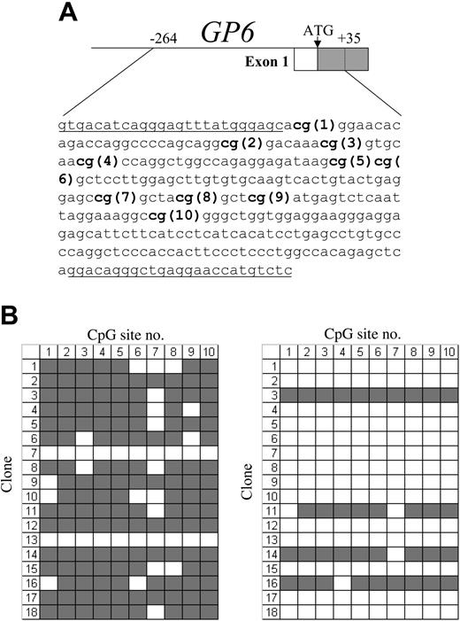 Figure 1. (A) Schematic diagram showing the sequence encompassing the CpG islands within the proximal 5′-regulatory region of human GP6. The CpG sites are indicated in bold and numbered consecutively in the 5′ to 3′ direction. The sequences of the flanking primer pairs used to amplify each CpG-rich segment are underlined. (B) Methylation status of the GP6 CpG island in human cord blood mononuclear cells (left) or enriched CD41+ cells (right). In each grid, each CpG site is represented by a column and indicated at the top, while individual cloned DNA sequences are represented by rows and numbered to the left. ▦ indicates methylated CpG sites; □, unmethylated sites. Numbers at the top correspond to the same CpG sites shown in panel A. In MNC precursors, 16 (89%) of 18 clones showed methylation at 7 or more of the 10 sites; and in the CD41+-enriched population, only 4 (22%) of 18 clones showed methylation at 8 or more sites.
