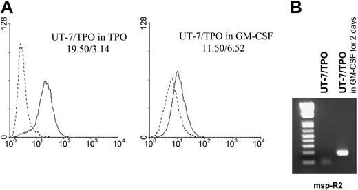 Figure 3. Lack of effect of nonspecific differentiation upon demethylation. (A) Surface expression of GPVI by UT-7/TPO cells cultured in the presence of GM-CSF. UT-7/TPO cells were cultured in the presence of 1 ng/mL GM-CSF for 2 days, and surface expression of GPVI was analyzed by flow cytometry using antibody 204-11 (—). --- corresponds to staining with fluorescein isothiocyanate-labeled secondary antibody alone. The respective GMFI for each tracing is indicated in the respective panel, and these results are representative of 3 independent experiments. (B) Methylation-specific PCR of the GP6 promoter in UT-7/TPO cells cultured in the presence of GM-CSF. The reverse primer msp-R2 was used to specifically amplify methylated alleles. A product was obtained when UT-7/TPO were cultured in the presence of GM-CSF (right lane) but not when they were cultured in the presence of TPO (center lane).