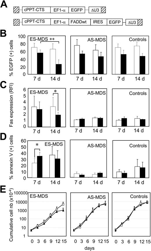 Figure 4. Overexpression of FADDwt and decreased ES-MDS erythroid precursor growth. (A) Lentivirus constructs. The FADDwt coding sequence was inserted into the TRIP-ΔU3-EF1α IRES EGFP vector. cPPT-CTS indicates the central polypurine tract-central termination sequence. The TRIP-ΔU3-EF1α/EGFP vector was used as control. (B) Transduction efficiency measured as the percentage of EGFP+ cells ± SEM (**P < .001) in EGFP-transduced (□) or FADDwt-transduced (▪) erythroid precursors from ES-MDS (n = 10), AS-MDS (n = 5), or control (n = 5) subjects at day 7 and 14. (C) Membrane Fas in EGFP-transduced (□) or FADDwt-transduced (▪) cells on day 7 and day 14. Results are expressed as means ± SEM of the ratio of fluorescence intensity (RFI) between anti-Fas monoclonal antibody and isotypic control (*P < .05). (D) Death of erythroid precursors transduced with control EGFP (□) versus FADDwt (▪) containing vectors. Results are expressed as mean percentages of annexin V+ cells in day-7 and day-14 cultures (*P = .01). (E) Growth curves of ES-MDS (n = 10), AS-MDS (n = 5), or control (n = 5) erythroid precursors transduced with EGFP (□) or FADDwt (▴) vectors from day 0 to day 15. Results are expressed as mean cumulative cell numbers (× 104) ± SEM.