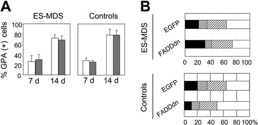 Figure 6. Effect of FADDdn on the differentiation of ES-MDS erythroid precursors. (A) Glycophorin A (GPA) in mean percentages of positive cells (± SEM) in control and ES-MDS erythroid precursor cultures transduced by EGFP (□) or FADDdn (▦) vectors on culture days 7 and 14. (B) Diagram of terminal erythroid differentiation on day 14. Results are expressed as mean percentages of proerythroblasts (▪), basophilic erythroblasts (▦), orthochromatophilic erythroblasts (▨), and acidophilic erythroblasts (□) in 3 normal and 5 ES-MDS cultures.