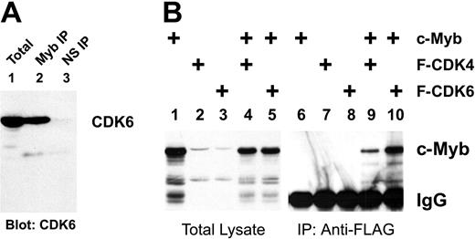 Figure 1. CDKs interact with c-Myb. (A) CDK6 and c-Myb are in a complex in human cells. Extracts from Jurkat T cells were prepared and analyzed for CDK6 expression using a total extract (lane 1) or samples that were first immunoprecipitated (IP) using anti-Myb antibodies (lane 2) or nonspecific antiserum (NS; lane 3). The samples were analyzed by Western blotting using anti-CDK6 antibodies for detection. The amount of sample analyzed in lane 1 is 10% of the amount used for the immunoprecipitations in lanes 2 and 3. (B) CDK coimmunoprecipitation. QT6 fibroblast cells were transfected with plasmids expressing c-Myb (lanes 1, 4-6, 9, 10), FLAG epitope-tagged CDK4 (lanes 2, 4, 7, 9), and FLAG epitope-tagged CDK6 (lanes 3, 5, 8, 10) as indicated at top. After 2 days, extracts were prepared and a small sample (10% of total) was saved for total extract analysis (lanes 1-5) while the remainder of each was subjected to immunoprecipitation using anti-FLAG beads (lanes 6-10). All the samples were analyzed by Western blotting using anti-Myb antibodies. The migration of the c-Myb protein is indicated at the right as is the immunoglobulin (IgG) band from the immunoprecipitation that cross-reacts with the second antibody used in the Western blot analysis.