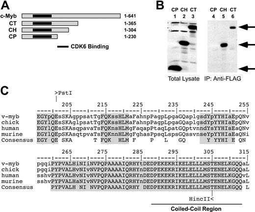 Figure 2. A CDK interaction domain in c-Myb. (A) Deletion constructs. C-terminal deletion constructs of c-Myb were prepared using various restriction sites. The amino acid residues retained in each construct are shown at the right. The highly conserved DNA-binding domain of c-Myb is shaded black. (B) Mapping the interaction domains. The deletion constructs CP (lanes 1, 4), CH (lanes 2, 5), or CT (lanes 3, 6) were coexpressed with FLAG epitope-tagged CDK6 and the resulting complexes were isolated by immunoprecipitation with anti-FLAG beads then analyzed by Western blotting using anti-Myb antibodies, as described for Figure 1. The left panel (lanes 1-3) shows the total extracts; the immunoprecipitated samples are shown at the right (lanes 4-6). Arrows indicate the migration of the c-Myb protein derivatives. (C) Conservation of the CDK interaction domain. The amino acid sequences of v-Myb from avian myeloblastosis virus or c-Myb proteins from chicken, human, or mouse were aligned using ClustalW.43 The bottom line shows the identical amino acids, shaded boxes show blocks of highest conservation. The numbering scheme comes from the chicken c-Myb protein.44 The coiled-coil region predicted using the SMART analysis package45,46 is indicated at bottom. The coiled-coil region has been shown to interact with the transcriptional coactivator CBP.48