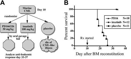 Figure 4. PD166326 prolongs the survival of mice with the CML-like disease. (A) Mice reconstituted with P210-transduced BM cells received PD166326 (PD16), imatinib mesylate, or placebo according to the indicated treatment schema bid indicates twice a day. (B) Survival of the indicated treatment cohort (N) is depicted as the number of days after bone marrow (BM) reconstitution (day 0). The start of drug treatment (Rx) is indicated at the arrow. PD166326-(▴) and imatinib mesylate (•)–treated animals were electively killed on day 33 to 37 for analysis. ▪ indicates mice receiving placebo. The results depicted are from 2 independent experiments.