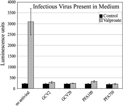 Figure 4. The effect of viral DNA polymerase inhibitors on extracellular HHV-8. BCBL-1 cells were induced into the lytic phase using valproate (0.6 mM; ▧), and the ability of ganciclovir and PFA to inhibit viral production was determined by assaying the amount of infectious virus present in the conditioned medium after a 5-day incubation using the T1H6 reporter cell line. ▪ indicates control cells. Each data point represents the mean ± SD from 6 replicate determinations.