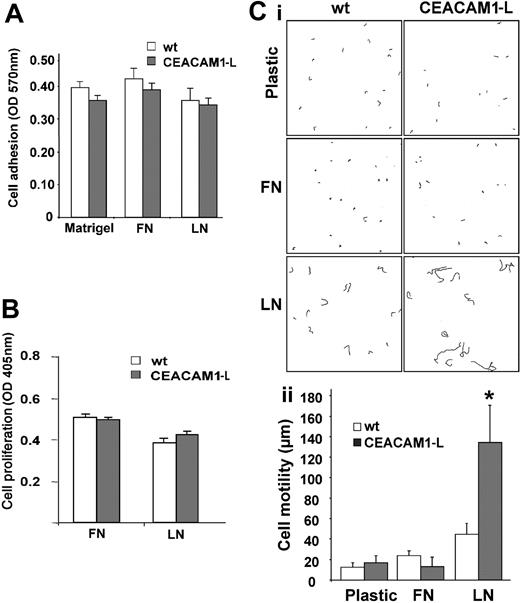 Figure 4. Attachment, proliferation, and motility of RBE cells on extracellular matrix proteins. (A) Cell attachment; Serum-starved wild type (wt; □) or CEACAM1-L–expressing (CEACAM1-L; ▦) cells (3 × 104) were plated on fibronectin (FN), laminin-1 (LN), or Matrigel coatings under serum-free conditions for 75 minutes. Nonadherent cells were removed by washing, and adherent cells were fixed and visualized with crystal violet. Quantification of attachment after 75 minutes was measured at 570 nm after dye release. The data represent means ± SD of 3 independent experiments done in triplicate. (B) Cell proliferation. Serum-starved wt (□) or CEACAM1-L–expressing (▦) cells (2 × 104) were plated on matrix protein–coated 96-well plates in medium containing 1% FCS and BrdU for 24 hours. Incorporation of BrdU was measured at 405 nm as described in “Materials and methods.” The results are shown as means ± SD of 2 independent experiments done in triplicate. (Ci) Representative paths of cell migration on plastic, fibronectin (FN), or laminin-1 (LN) of RBE wt (wt) or CEACAM1-L–expressing cells (CEACAM1-L) tracked at 20-minute intervals over a span of 8 hours. (ii) Quantification of cell migration represented as means ± SD in duplicate assays. *P < .001.