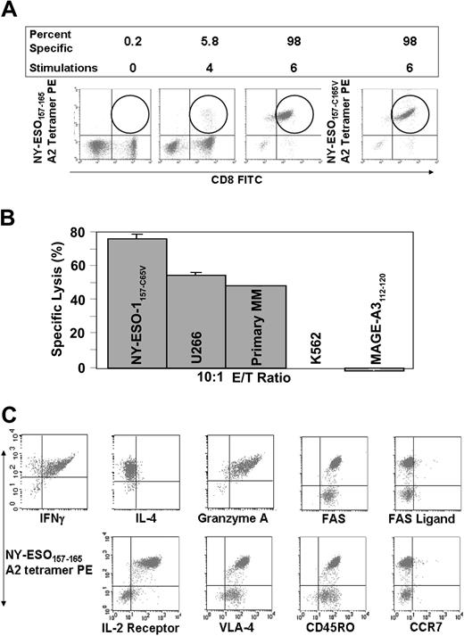 Figure 3. Expansion of NY-ESO-1–specific CTLs. (A) NY-ESO-1–specific T cells are spontaneously present and can be progressively expanded by stimulation with APCs pulsed with NY-ESO-1157-C165V analog peptide. Note that there is equivalent staining with NY-ESO-1157-165 wild-type and NY-ESO-1157-C165V analog peptide-loaded A2 tetramers. (B) NY-ESO-1–specific CTLs kill both primary, the HLA-A2+ U266 myeloma cell line, and autologous PHA-blasts pulsed with NY-ESO-1157-C165V, and not control PHA-blasts pulsed with a MAGE-3112-120 A2-binding peptide or K562 cells. (C) NY-ESO-1–specific CTLs produce IFN-γ and not IL-4 (Tc1 type), contain cytolytic granules, and are of memory-effector type. VLA indicates very late antigen; FITC, fluorescein isothiocyanate.