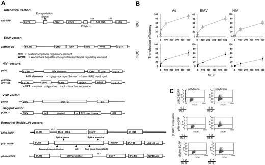 Figure 1. Ad is the most efficient vector to transduce DCs. (A) We used Ad, HIV, EIAV, and 3 MMLV constructs to generate replication-deficient Ad, HIV, EIAV, and MMLV viruses encoding (e)GFP. ITR indicates inverted terminal repeat; CMV, cytomegalovirus; LTR, long terminal repeat; cPPT, central polypurine tract cis acitve sequence; VGV, vesicular stomatitis virus; IRES, internal ribosomal entry site; and MCS, multiple cloning site. (B) The DCs were transduced with Ad, EIAV, or HIV at the MOI indicated either as iDCs (top row) or following stimulation with 20 ng/mL TNF-α, 20 ng/mL IL-1β, 20 ng/mL LPS, and 10 ng/mL PGE2 for 48 hours (bottom row). The transfection efficiency was assessed after 5 days using flow cytometry to measure (e)GFP expression. Results are expressed as the mean ± standard deviation of triplicate determinations. (C) The ability of the 3 MMLV retroviral supernatants to infect iDCs was tested either in the presence (right column) or absence (left column) of polybrene. The transfection efficiency was assessed after 2 to 3 days using flow cytometry to measure (e)GFP expression. Percentages of (e)GFP-positive and -negative cells are shown at the bottom-left corner of each flow cytometry plot.