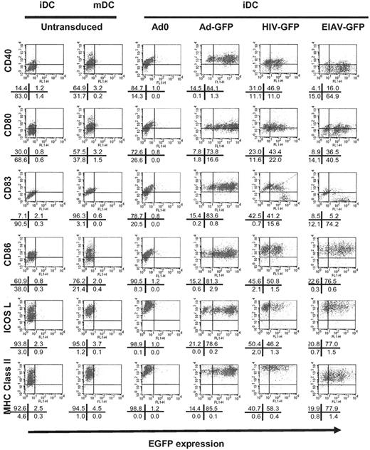 Figure 2. Change in phenotype of iDCs following viral transduction. Following transduction of iDCs with Ad0 (third column; MOI 500), AdGFP (fourth column; MOI 500), HIV-GFP (fifth column; MOI 500), or EIAV-GFP (sixth column; MOI 500), the phenotype of the cells was analyzed using 2-color flow cytometry for the expression of (e)GFP (x axis) and the surface marker indicated (y axis). As a control, untransfected cells were either unstimulated (iDCs, first column) or activated with 20 ng/mL TNF-α, 20 ng/mL IL-1β, 20 ng/mL LPS, and 10 ng/mL PGE2 for 48 hours (mDCs, second column). The results shown are representative of 3 experiments. The percentage of cells in each quadrant of the flow cytometry profiles is shown in the diagram beneath each profile.