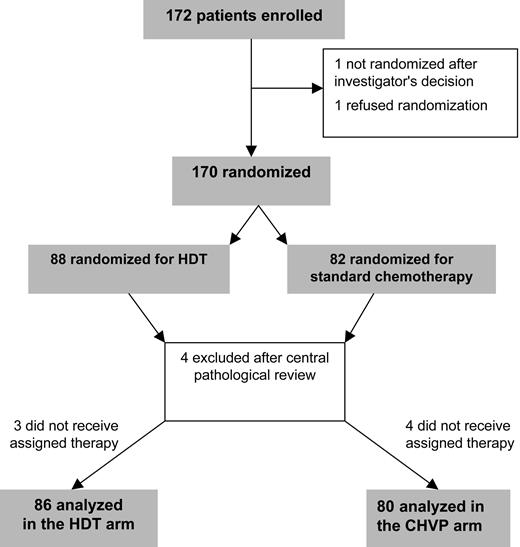 Figure 2. Flow chart of the patients included in the trial