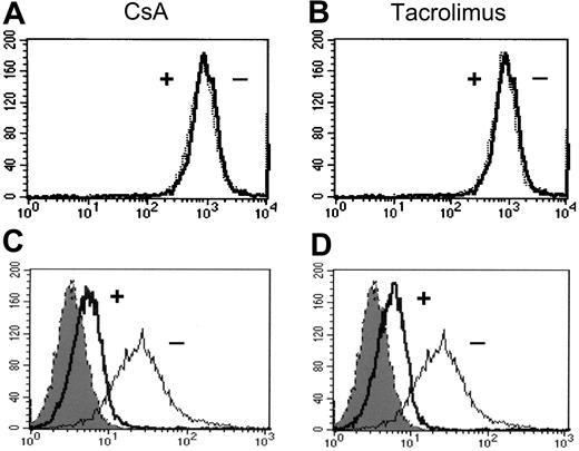 Figure 7. CsA and tacrolimus specifically inhibit the expression of SIINFEKL–H-2Kb complexes. DC2.4 cells were incubated with OVA microspheres in the presence (+) or absence (-) of CsA (3000 nM) or tacrolimus (100 nM) for 2 hours, and the expression levels of H-2Kb molecules (A,B) and SIINFEKL–H-2Kb complexes (C,D) were determined by monoclonal antibodies. In panels C and D, the shaded histograms represent DCs that were not incubated with OVA microspheres.