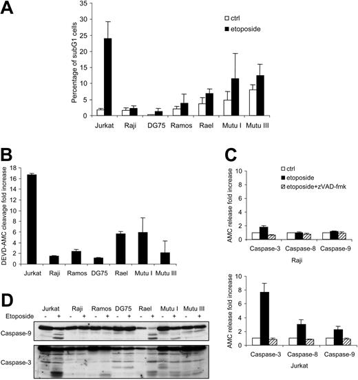 Figure 1. BL-derived cell lines are resistant to etoposide-induced caspase activation. (A) BL and Jurkat cell lines were incubated for 24 hours in the absence (□) or presence (▪) of etoposide, and apoptosis was assessed by flow cytometry. (B) Cells treated for 24 hours with etoposide were harvested for measurement of caspase-3–like enzyme activity according to specific cleavage of the fluorescent DEVD-AMC substrate. (C) Raji and Jurkat cells preincubated in the absence (▪) or presence (▨) of the pan-caspase inhibitor, zVAD-fmk, were treated with etoposide for 6 hours, and caspase activities were determined. □ indicates control cells. Data are depicted as fold increases of AMC release. (D) Cell lysates from BL and Jurkat cell lines treated for 12 hours with etoposide were evaluated for processing of pro–caspase-3 and pro–caspase-9 by using specific antibodies. Results shown in panels A-C are mean values ± SDs (n = 3). Data shown in panel D are representative of 3 independent experiments.