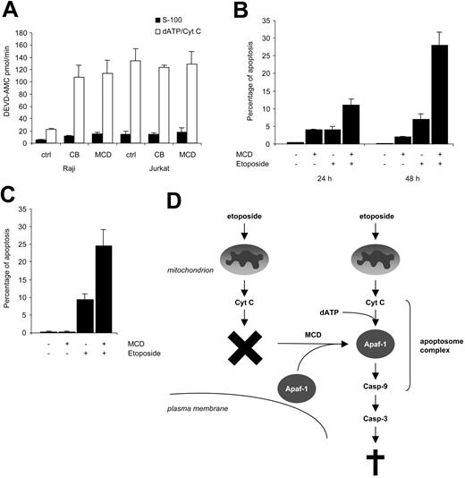 Figure 7. Sensitization of BL cells to etoposide upon incubation with a lipid raft–disrupting agent. (A) S-100 cytosols from Raji cells pretreated with CB or MCD as detailed in the legend to Figure 6 were incubated for 30 minutes in the absence (▪) or presence (□) of cytochrome c and dATP, and caspase-3–like enzyme activity was determined by using the DEVD-AMC fluorogenic substrate. Data shown are mean values ± SDs (n = 4). (B) Raji BL cells were preincubated in the presence or absence of MCD for 1 hour prior to treatment with etoposide, and apoptosis was determined at the indicated time points by fluorescence microscopic evaluation of Hoechst 33342–labeled cells. Data are shown as mean values ± SDs (n = 3). (C) DG75 BL cells preincubated with MCD as in panel B, and then treated for 48 hours with etoposide prior to assessment of apoptosis. Data are shown as mean values ± SDs (n = 3). (D) Schematic model showing the apoptosis defect in BL-derived Raji cells, and the putative mechanism whereby lipid raft disruption sensitizes these cells to etoposide-induced killing. MCD indicates methyl-β-cyclodextrin.