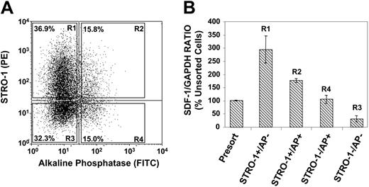 Figure 2. Immature BMSSCs express higher levels of SDF-1 than more mature populations. (A) The dot plot represents dual flow cytometric analysis of single-cell suspensions of ex vivo–expanded BMSSCs, grown under standard culture condition media, based on the cell surface expression of STRO-1 and AP antigens. The different sorted STRO-1/AP subpopulations were isolated by FACS according to the sorting regions R1, R2, R3, and R4. (B) The graph depicts semiquantitative RT-PCR analysis of the relative expression of SDF-1 in respect to GAPDH expression in total RNA prepared from unsorted and FACS-isolated cultured BMSSC populations according to their cell surface expression of STRO-1 and AP. The most immature osteogenic precursor population (STRO-1+/AP-) expressed higher levels than preosteoblasts (STRO-1+/AP+), followed by more mature osteoblast (STRO-1-/AP+) and osteocyte (STRO-1-/AP-) populations. The data represent the mean values ± standard errors of 2 independent experiments, using secondary BMSSC cultures established from 2 different healthy bone marrow donors.