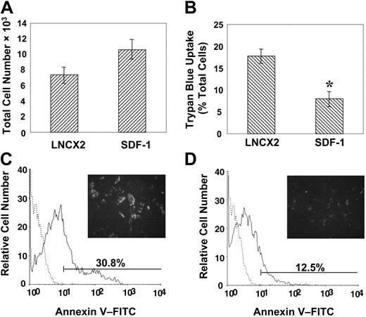 Figure 6. Enforced expression of SDF-1 by BMSSCs mediates cell survival. (A) Proliferation studies were performed by plating high SDF-1–expressing BMSSCs and vector control cell lines in triplicate wells at a density of 5 × 103 cells/well in 96-well plates in regular growth medium for 5 days. Single-cell suspensions were then prepared by trypsin/EDTA digest and counted to assess the total number of cells. (B) Parallel cultures were established in the presence of interleukin 4 (IL-4; 30 ng/mL), and the percentage of apoptotic cells was measured by using trypan blue exclusion. (C) The histogram represents the level of cell surface annexin V staining (solid line) by control cell lines compared with the isotype-matched control antibody (dotted line) cultured in the presence of IL-4. A representative image is shown of the intensity of fluorescence staining on living cells in situ (× 100). (D) The histogram represents the level of cell surface annexin V staining (solid line) by high SDF-1–expressing BMSSC lines compared with the isotype-matched control (dotted line) cultured in the presence of IL-4. A representative image is shown of the intensity of fluorescence staining on living cells in situ (× 100). The data represent the mean values ± standard errors of triplicate experiments. Statistical differences (*) of P < .05 between the SDF-1 high–expressing BMSSC lines and corresponding controls were determined by using the unpaired t test.